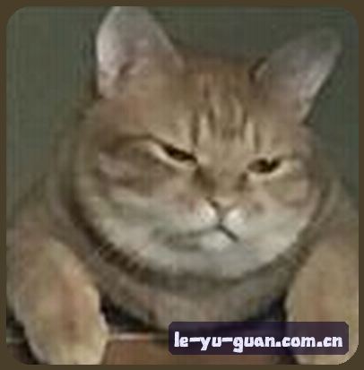 孙悦